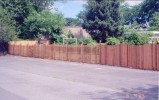  6' Red Cedar Scalloped and spaced picket - scalloped